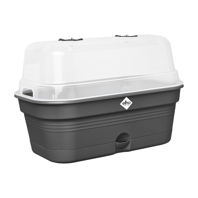 green basics anzucht schale allin1 l living schwarz